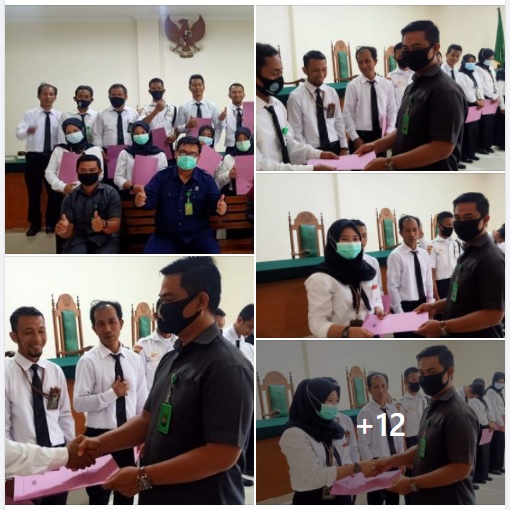 penerimaan SK PPNPN